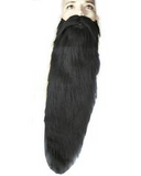 Long Hillbilly Beard AB1616