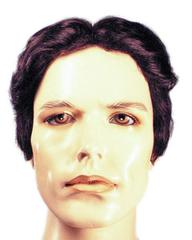 1920s Men's Roaring 20s Center Part Wig