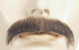 Sonny Discount Mustache M1