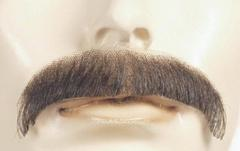 Sonny Discount Mustache M1