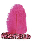 20s Headband