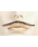 Errol Flynn Discount Mustache