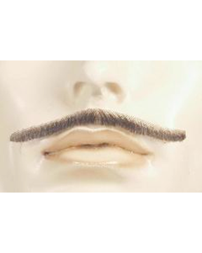 Errol Flynn Discount Mustache